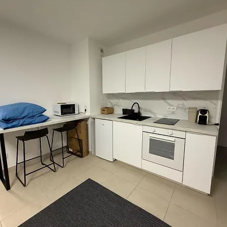 Lumineux Avec Balcon Prive Apartment